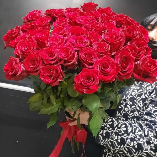 review-photo-before