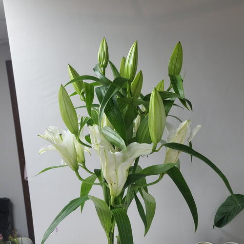 review-photo-before