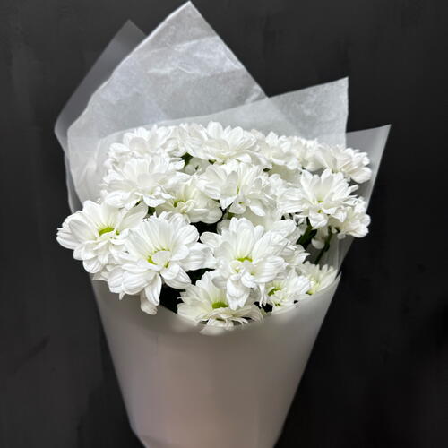 review-photo-before