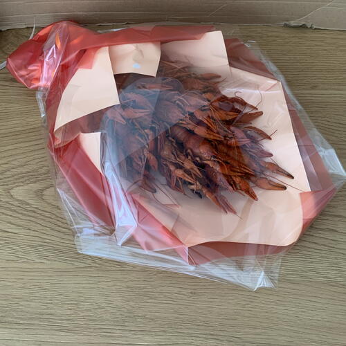 review-photo-before