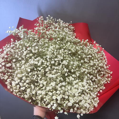 review-photo-before