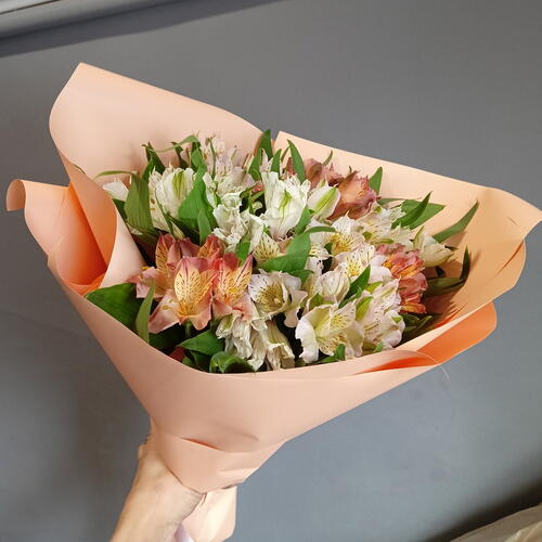 review-photo-before