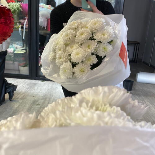 review-photo-before