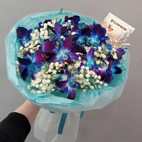 review-photo-before