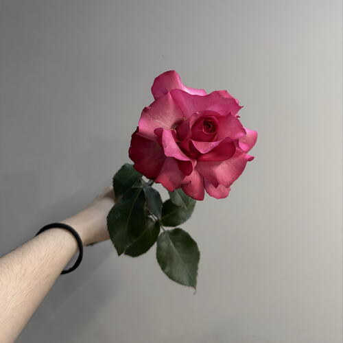 review-photo-before
