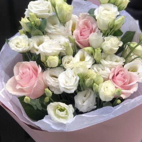 review-photo-before