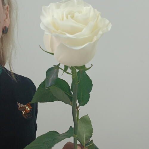 review-photo-before