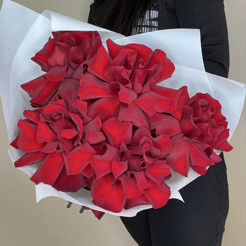review-photo-before