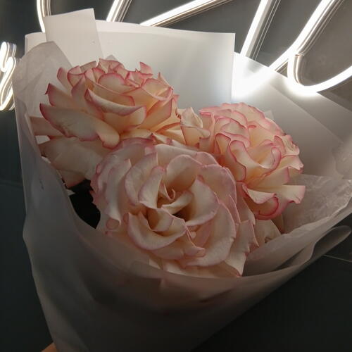 review-photo-before
