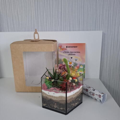 review-photo-before