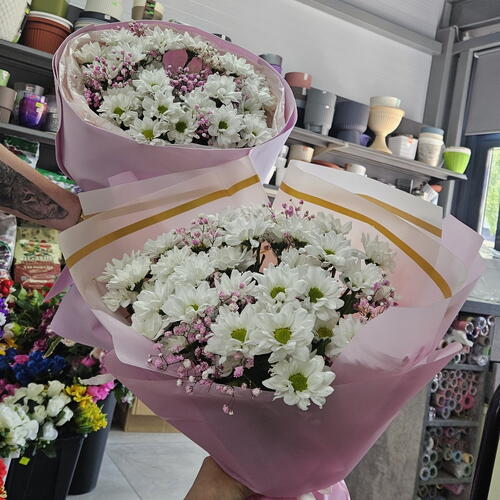 review-photo-before