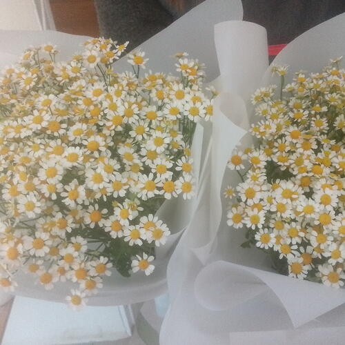 review-photo-before