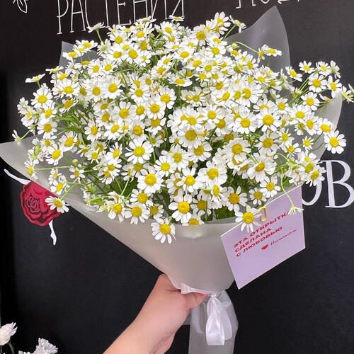 review-photo-before