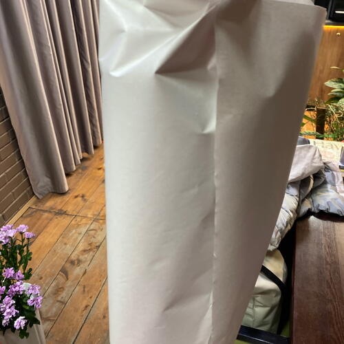 review-photo-before