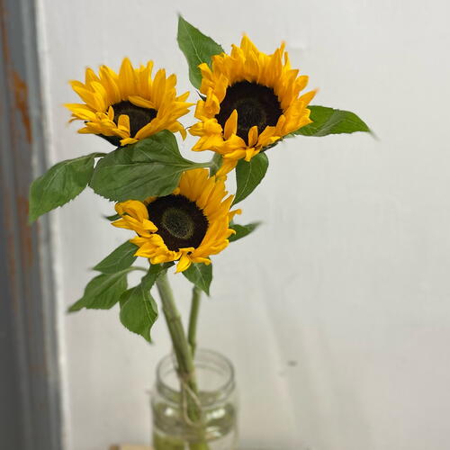 review-photo-before