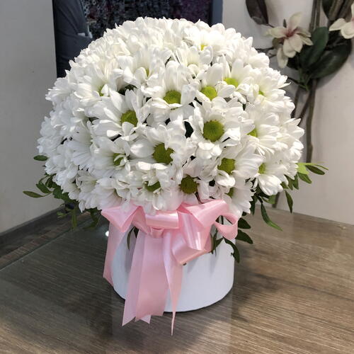 review-photo-before