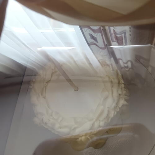 review-photo-before