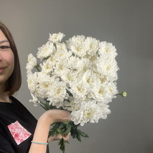 review-photo-before