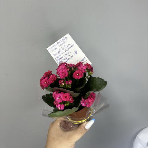 review-photo-before
