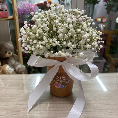 review-photo-before