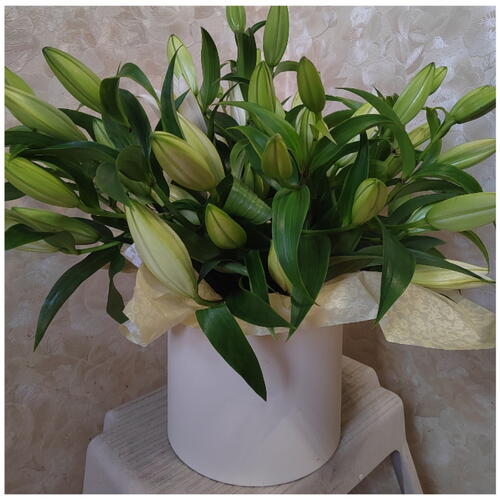 review-photo-before