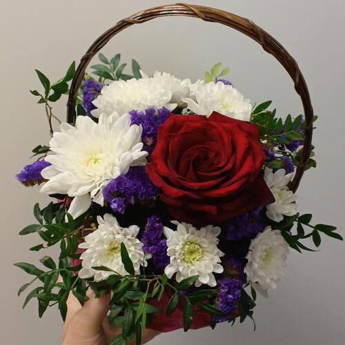 review-photo-before