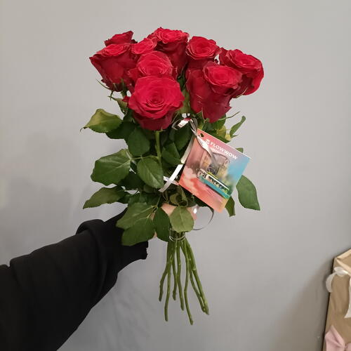 review-photo-before