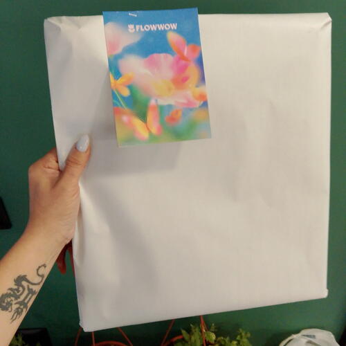 review-photo-before