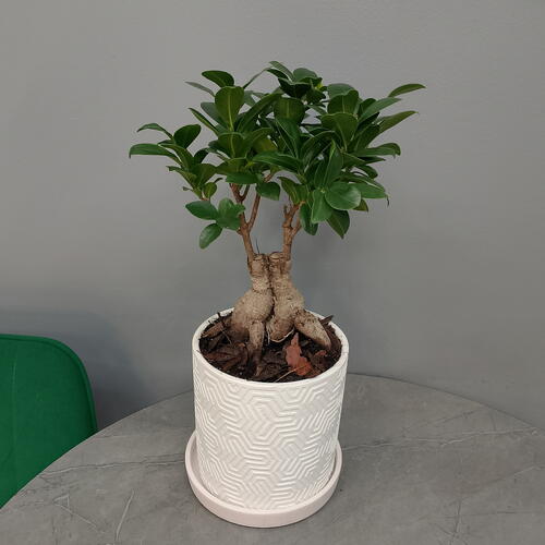 review-photo-before