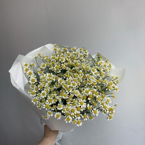 review-photo-before