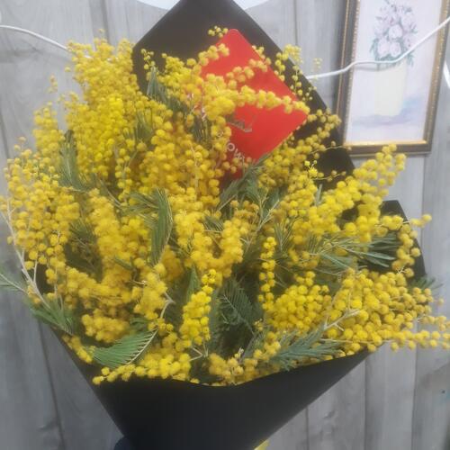 review-photo-before
