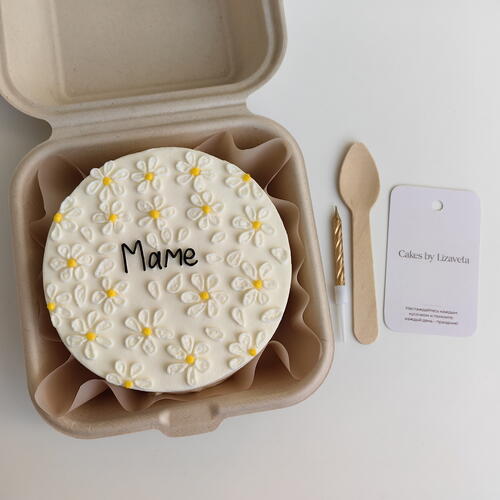 review-photo-before