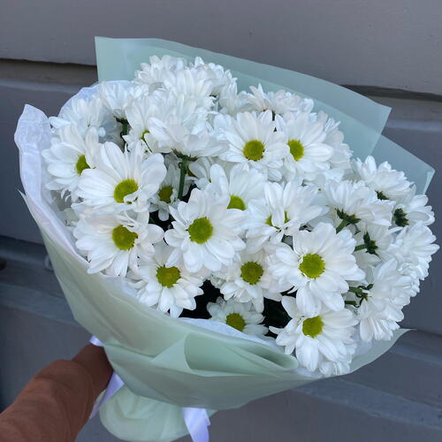 review-photo-before