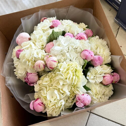 review-photo-before