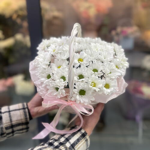 review-photo-before