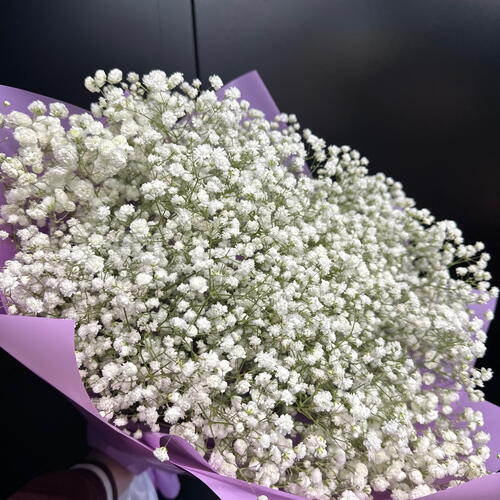 review-photo-before