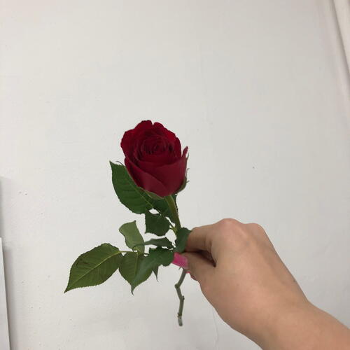 review-photo-before