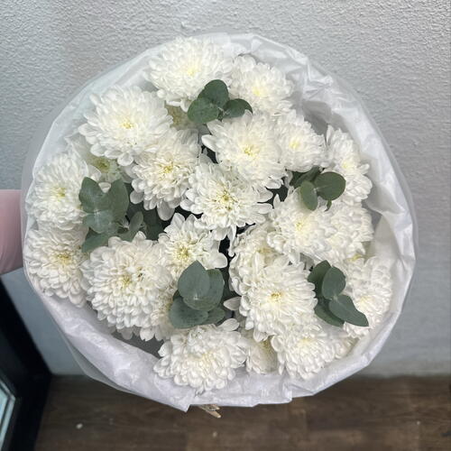 review-photo-before