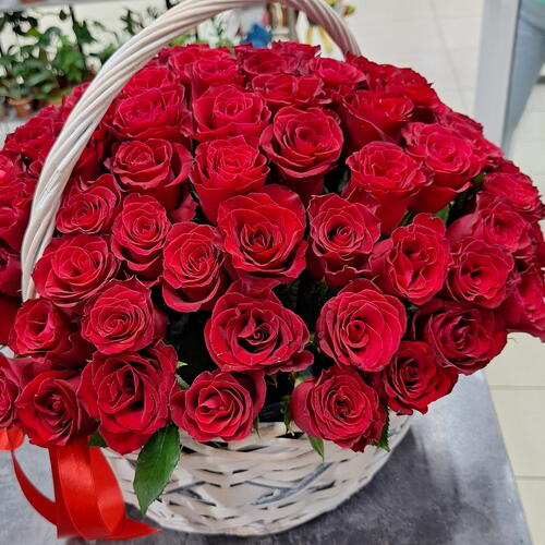 review-photo-before