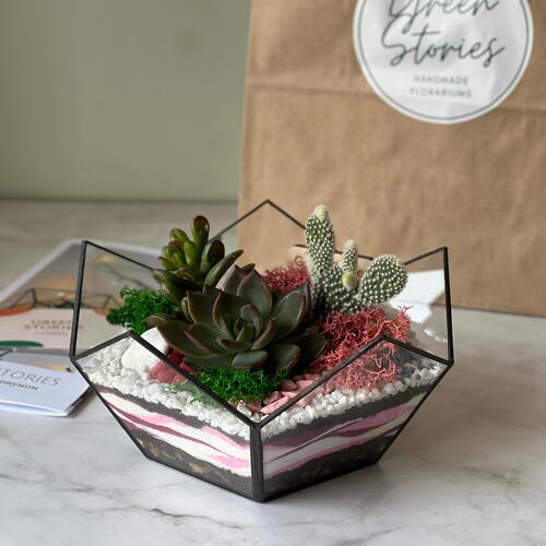 review-photo-before