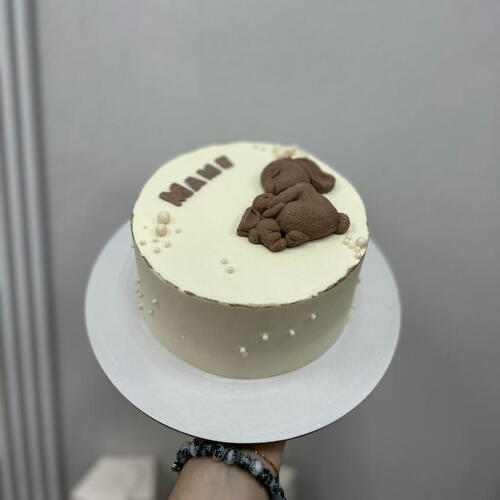 review-photo-before