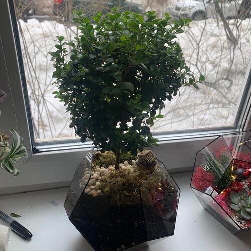review-photo-before
