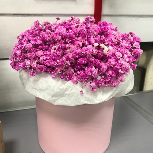 review-photo-before