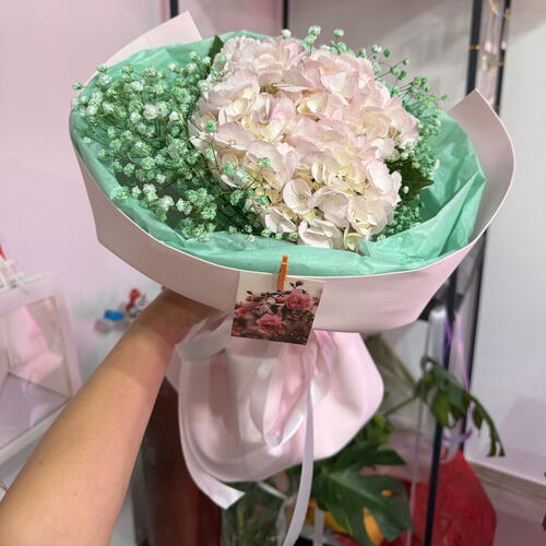 review-photo-before