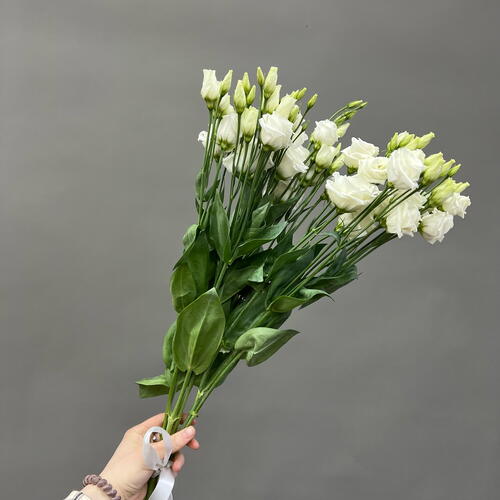 review-photo-before