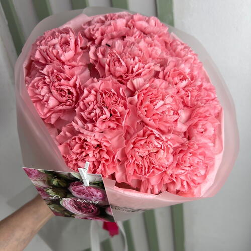 review-photo-before