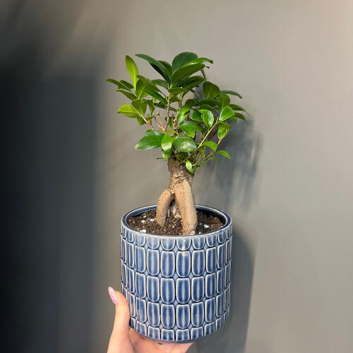 review-photo-before