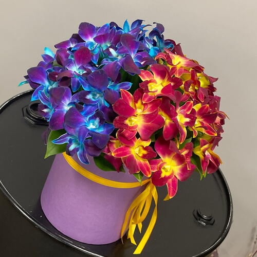 review-photo-before