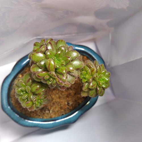 review-photo-before