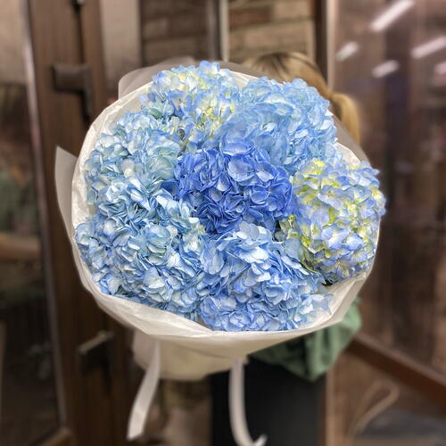 review-photo-before